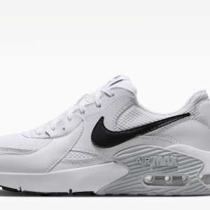 Nike Shoe Version 2